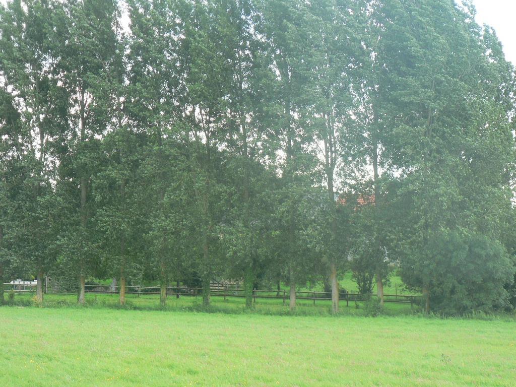 Gite De L'Aure Trevieres Exterior foto